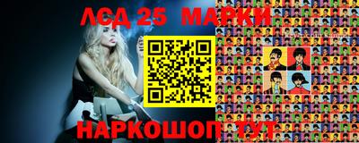 альфа пвп Аргун