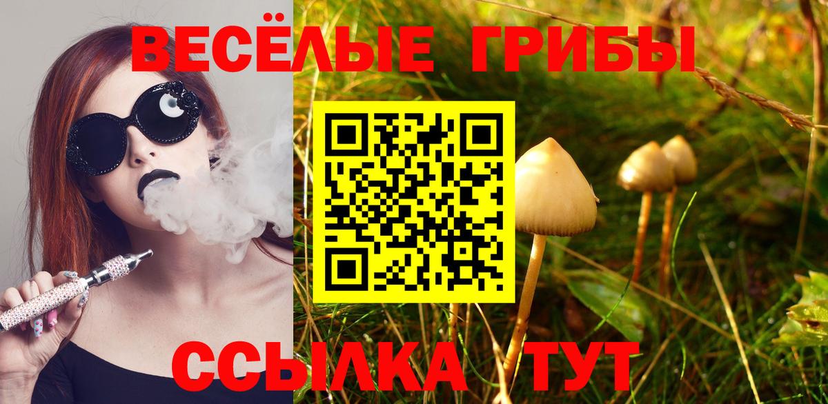 Галлюциногенные грибы прущие грибы Артёмовский