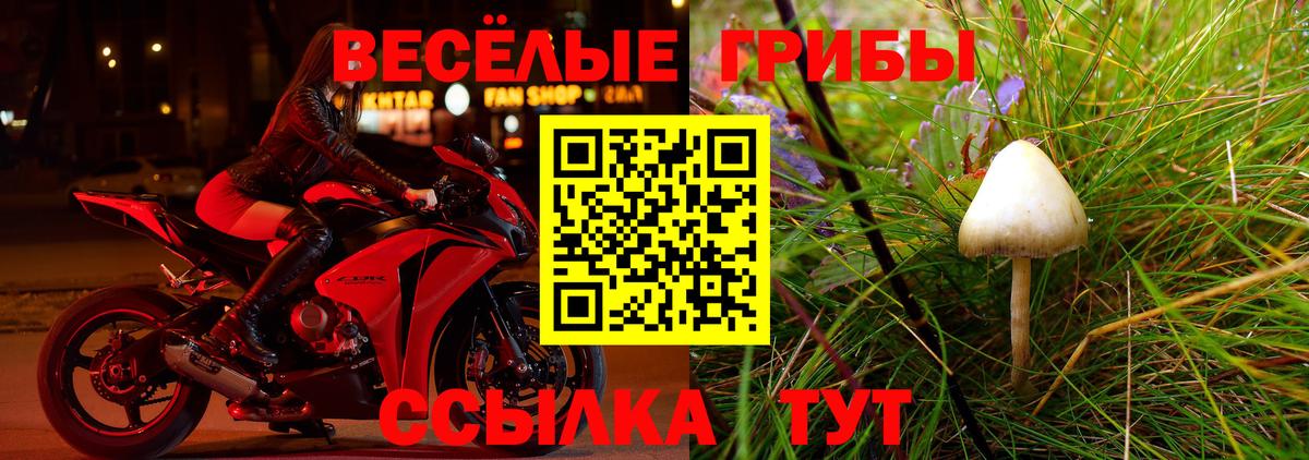 Галлюциногенные грибы GOLDEN TEACHER Артёмовский