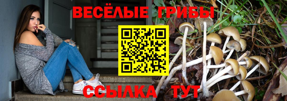 Псилоцибиновые грибы GOLDEN TEACHER  Вход с VPN  Псилоцибиновые грибы мицелий  Артёмовский 